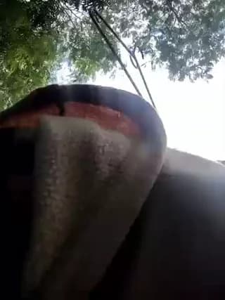 Juan_Hotcaliemte - stripchat