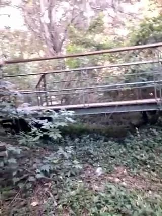 Nacho18hot - stripchat