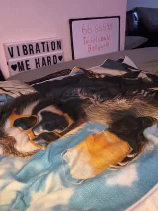 secret_dream415 - stripchat