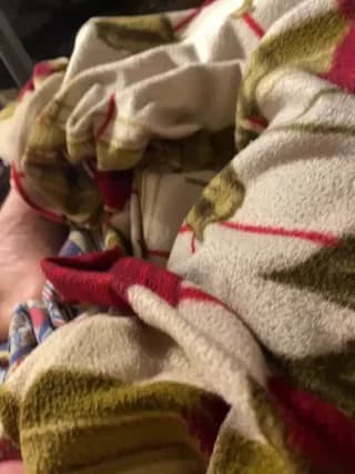 speddy34 - stripchat